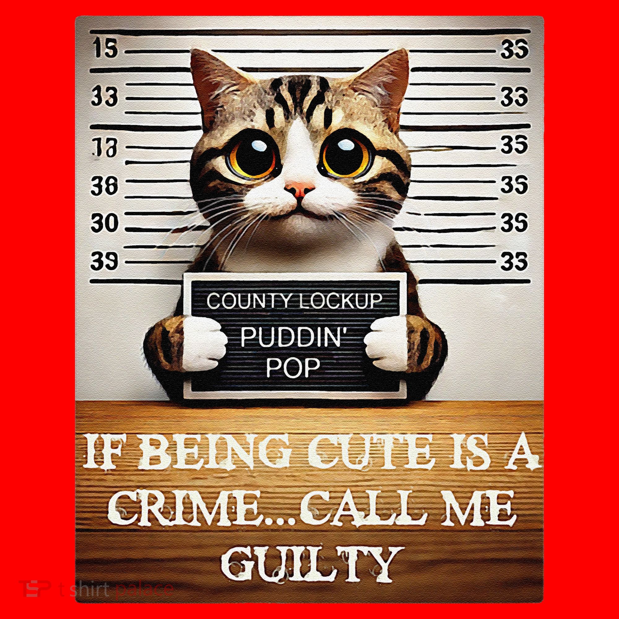 Funny Cat Meme Guilty Of Being Cute Santa Hat