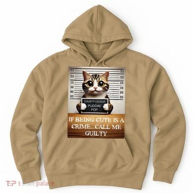 Funny Cat Meme Guilty Of Being Cute Hoodie