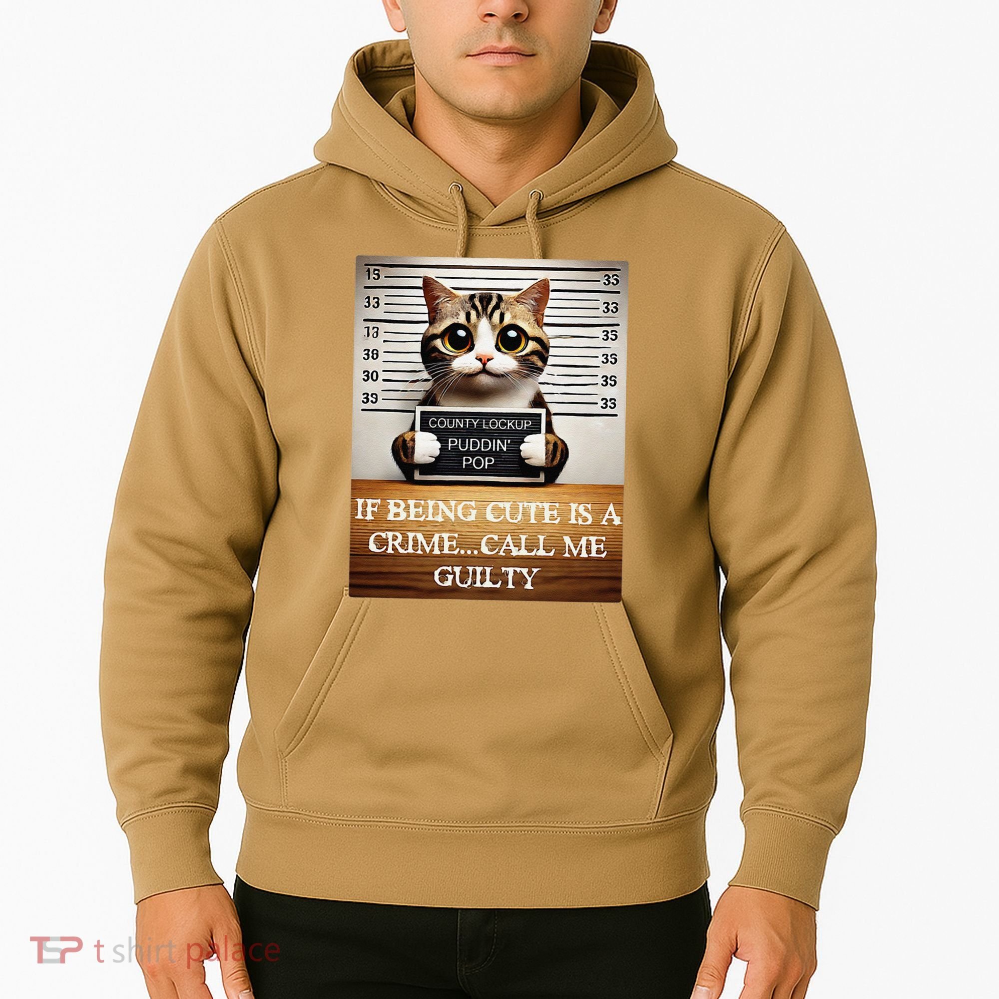Funny Cat Meme Guilty Of Being Cute Hoodie