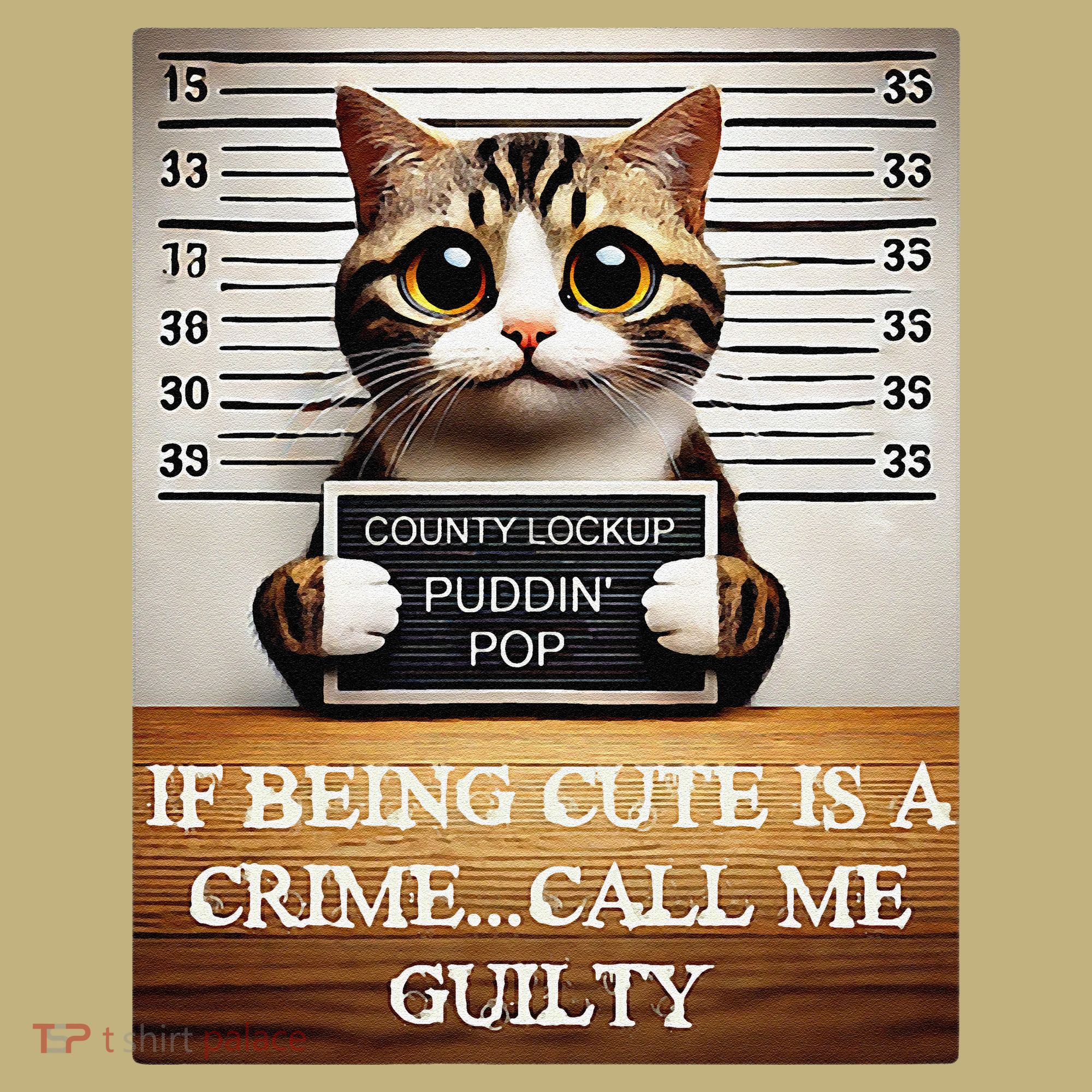 Funny Cat Meme Guilty Of Being Cute Hoodie