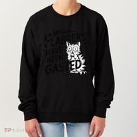 Funny Cat Meme My Flabbers Have Been Gasted Women's Sweatshirt thumb 0
