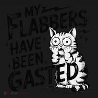 Funny Cat Meme My Flabbers Have Been Gasted Women's Hoodie thumb 2