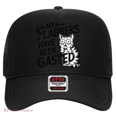 Funny Cat Meme My Flabbers Have Been Gasted Hat