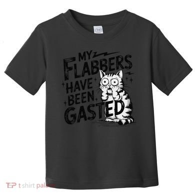 Funny Cat Meme My Flabbers Have Been Gasted Toddler T-Shirt