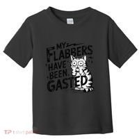 Funny Cat Meme My Flabbers Have Been Gasted Toddler T-Shirt thumb 0