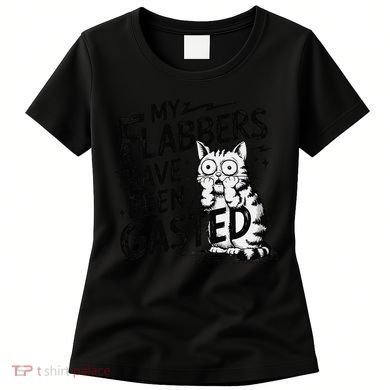 Funny Cat Meme My Flabbers Have Been Gasted Women's T-Shirt