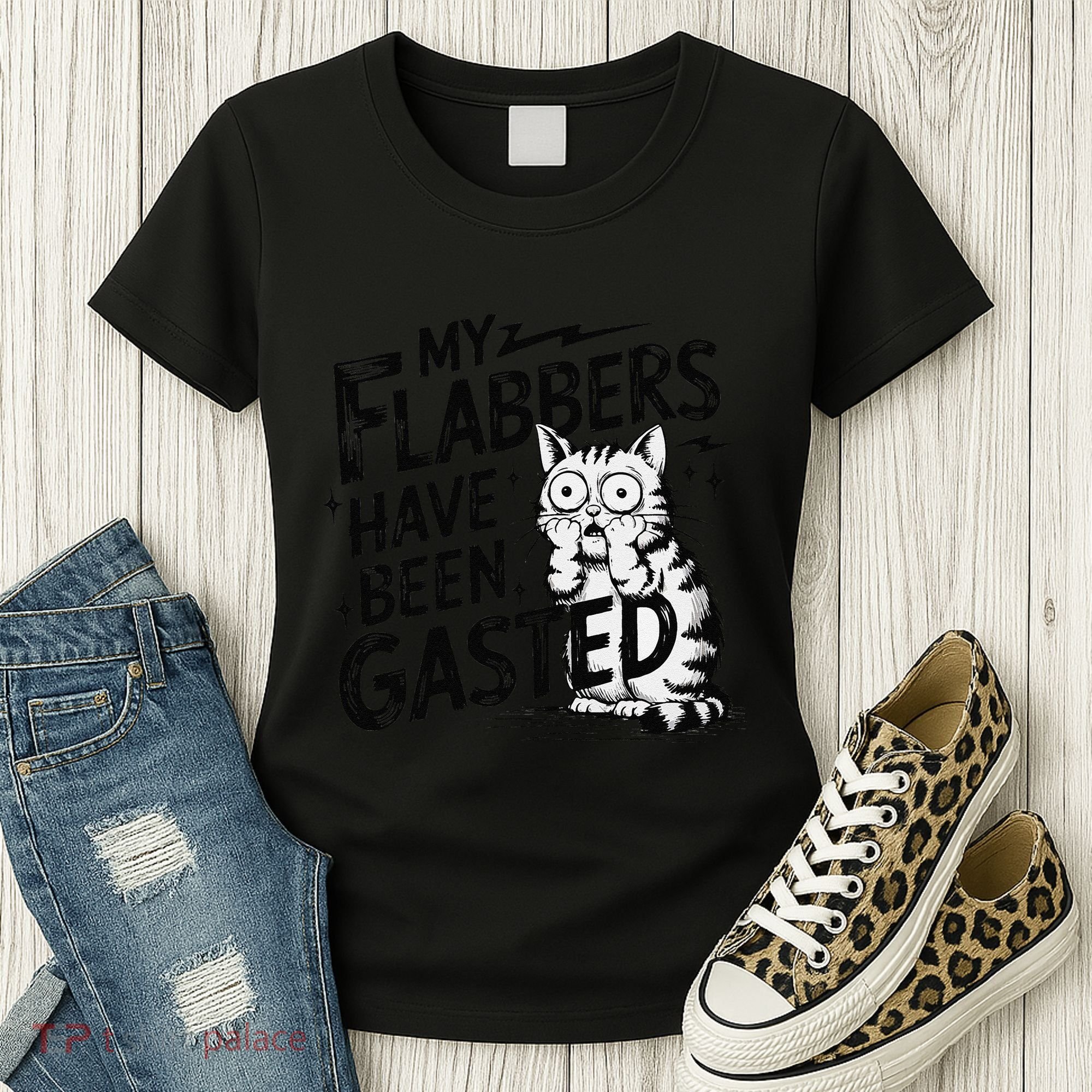 Funny Cat Meme My Flabbers Have Been Gasted Women's T-Shirt