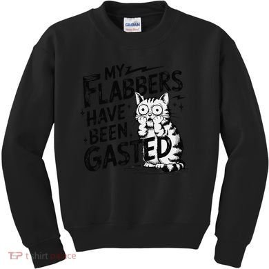 Funny Cat Meme My Flabbers Have Been Gasted Kids Sweatshirt