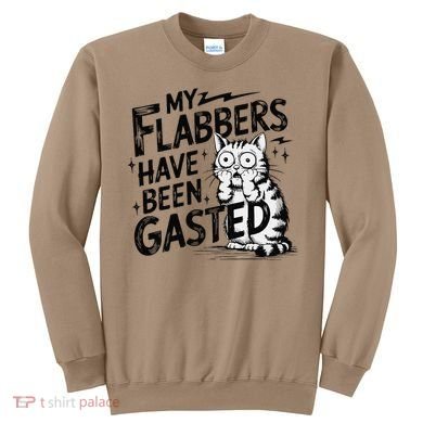 Funny Cat Meme My Flabbers Have Been Gasted Sweatshirt
