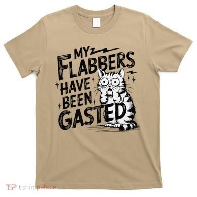 Funny Cat Meme My Flabbers Have Been Gasted T-Shirt