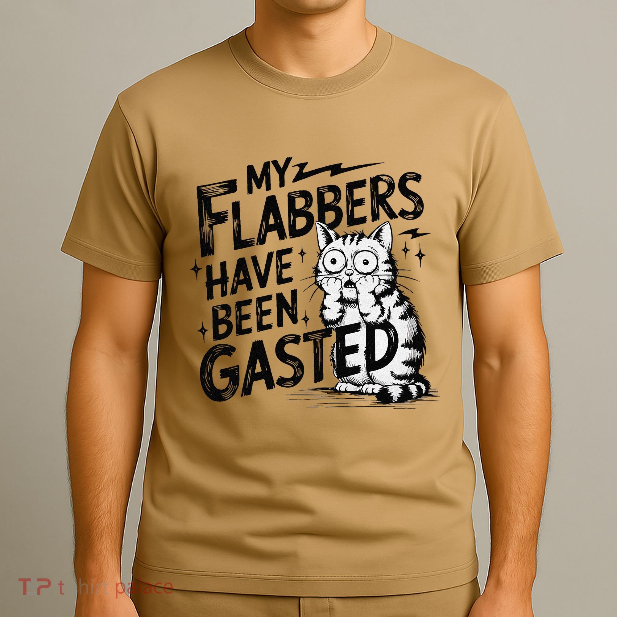 Funny Cat Meme My Flabbers Have Been Gasted T-Shirt