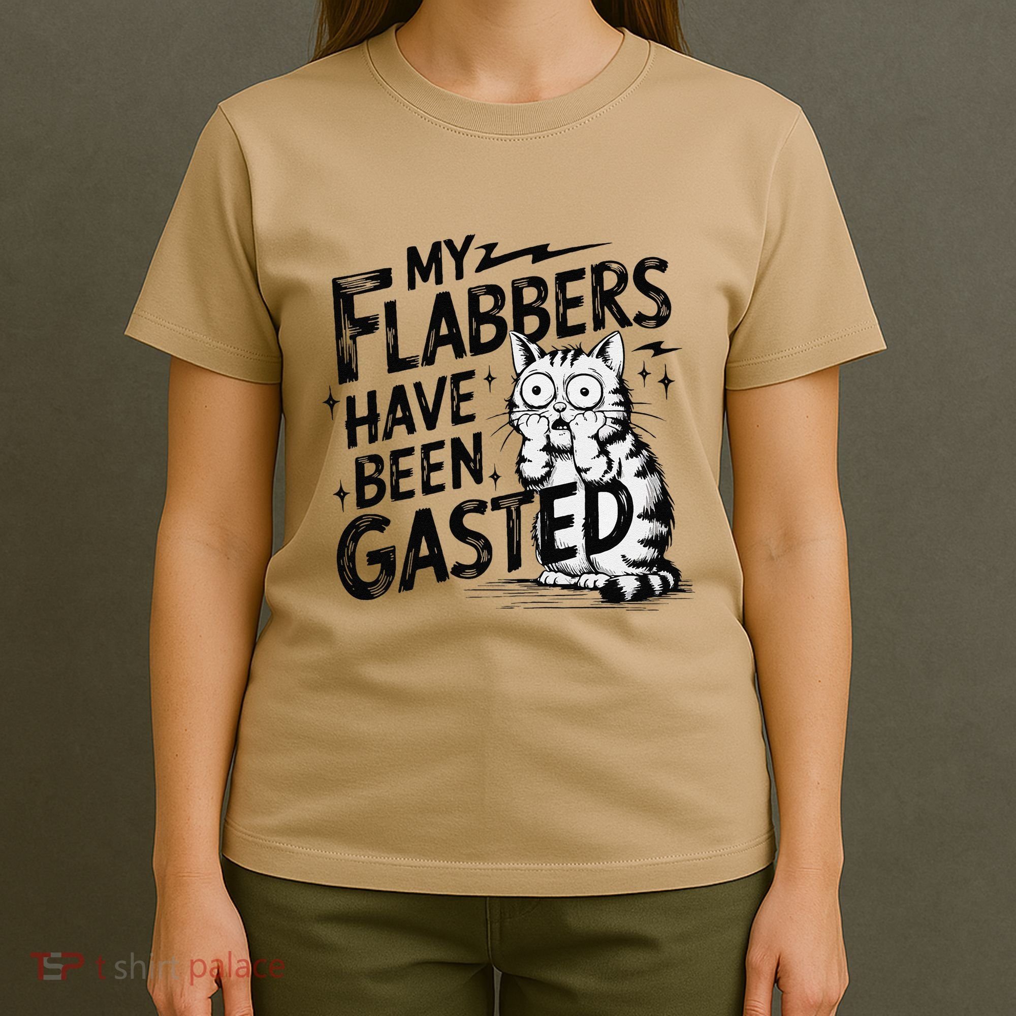 Funny Cat Meme My Flabbers Have Been Gasted T-Shirt