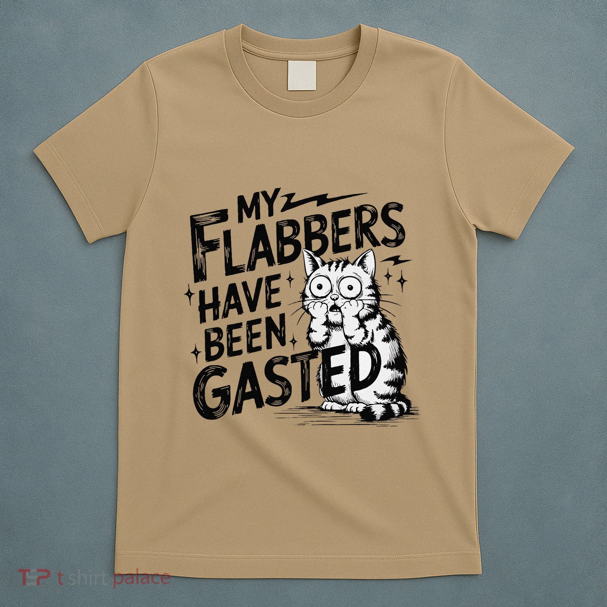 Funny Cat Meme My Flabbers Have Been Gasted T-Shirt