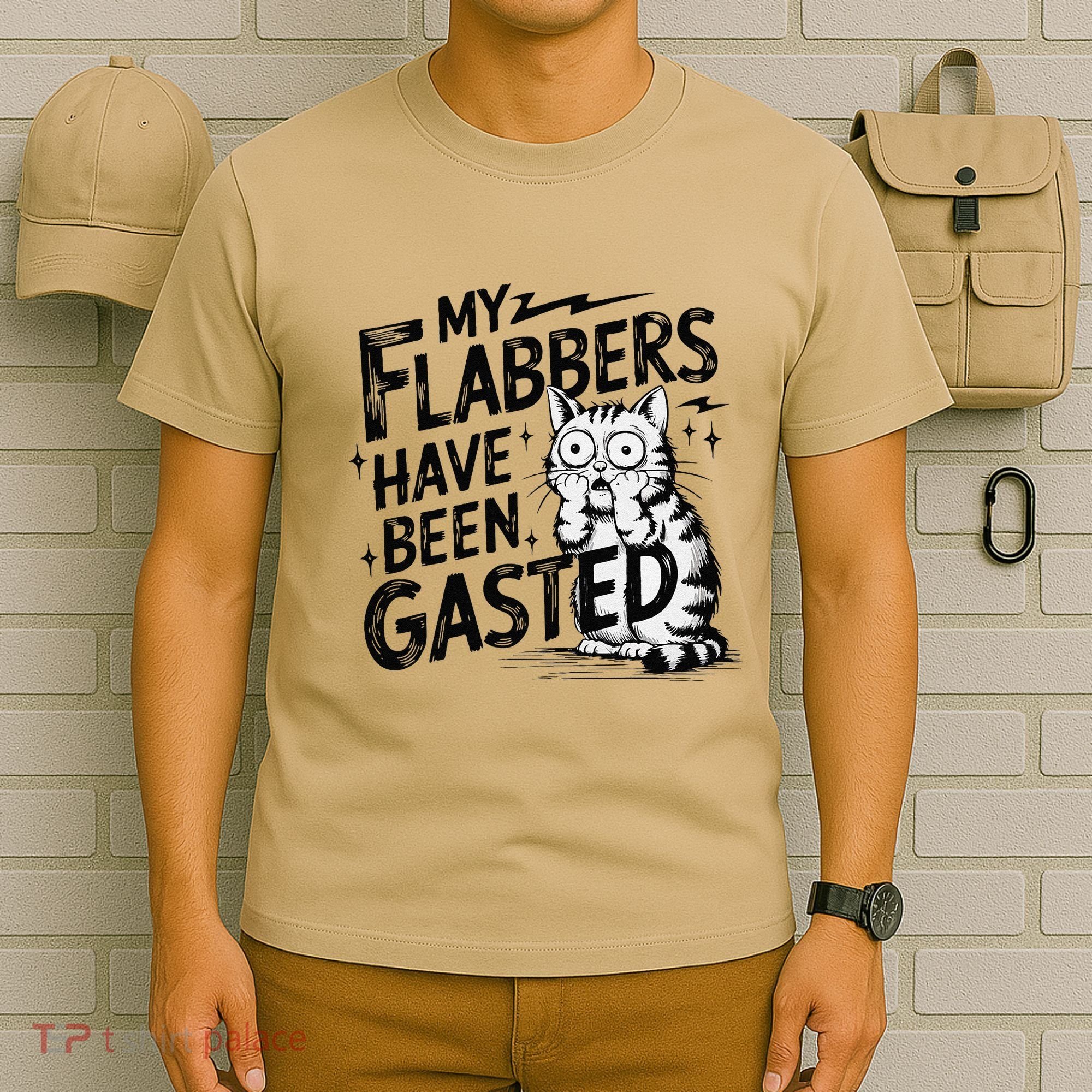 Funny Cat Meme My Flabbers Have Been Gasted T-Shirt