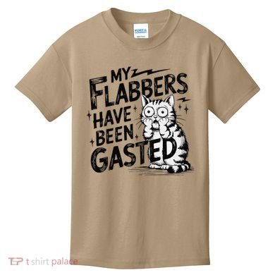 Funny Cat Meme My Flabbers Have Been Gasted Kids T-Shirt