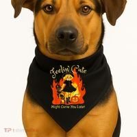 Feeling Cute Might Curse You Later Cute Witch USA-Made Doggie Bandana thumb 1