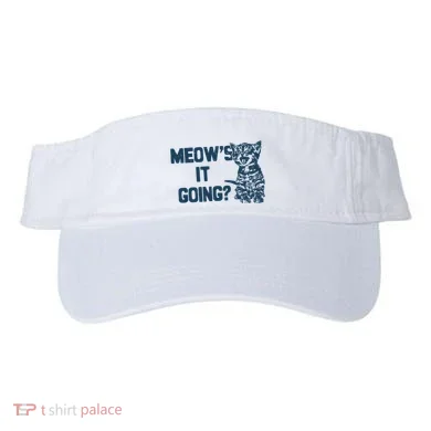 Visor