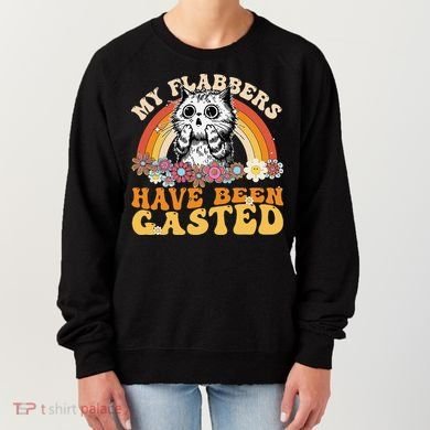 Funny Cat Meme My Flabbers Have Been Gasted Women's Sweatshirt