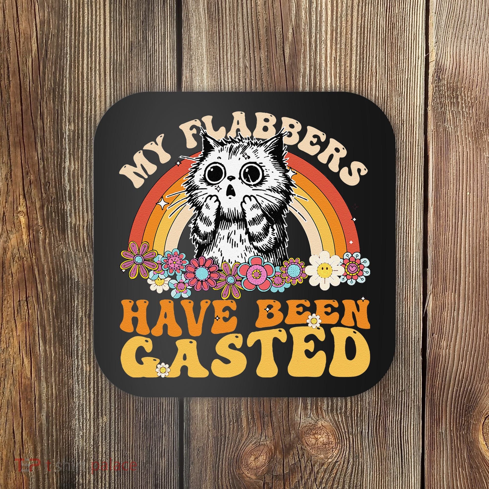 Funny Cat Meme My Flabbers Have Been Gasted Coaster