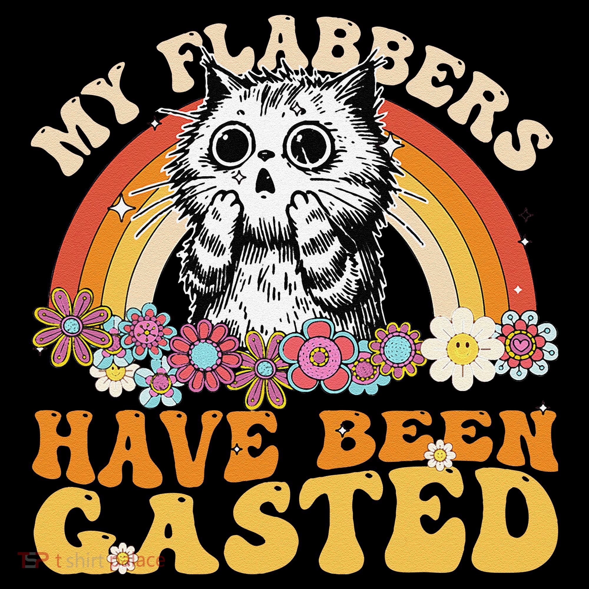 Funny Cat Meme My Flabbers Have Been Gasted Women's Hoodie