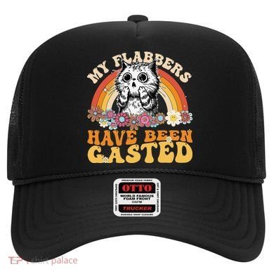 Funny Cat Meme My Flabbers Have Been Gasted Hat