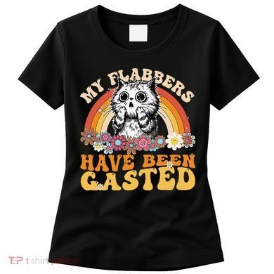 Funny Cat Meme My Flabbers Have Been Gasted Women's T-Shirt