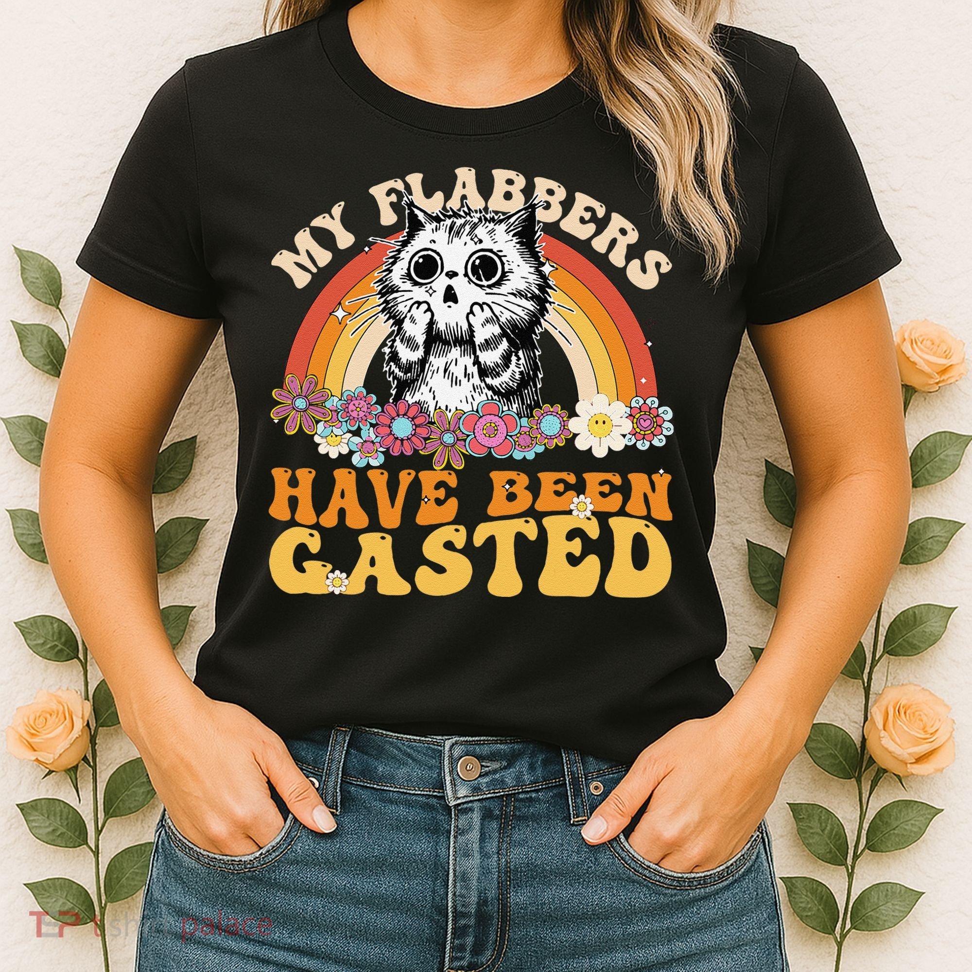 Funny Cat Meme My Flabbers Have Been Gasted Women's T-Shirt