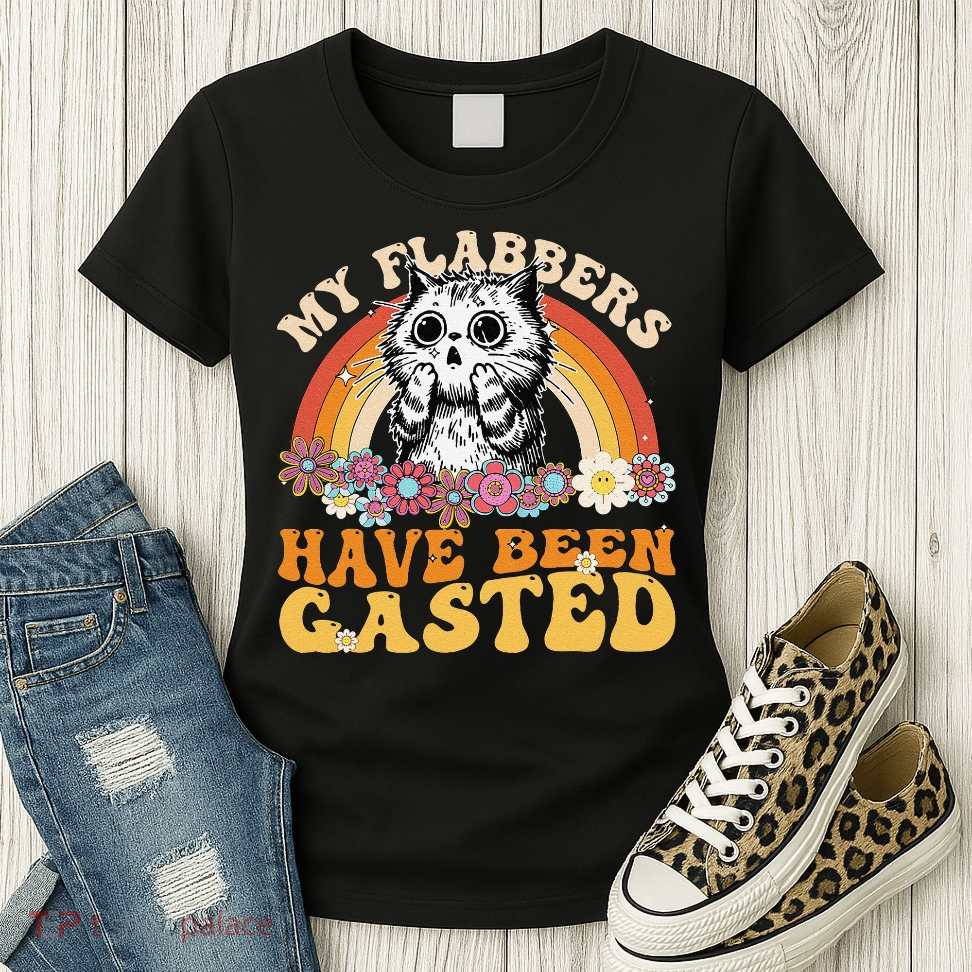 Funny Cat Meme My Flabbers Have Been Gasted Women's T-Shirt