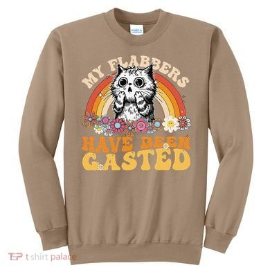 Funny Cat Meme My Flabbers Have Been Gasted Sweatshirt