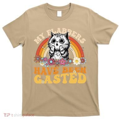 Funny Cat Meme My Flabbers Have Been Gasted T-Shirt