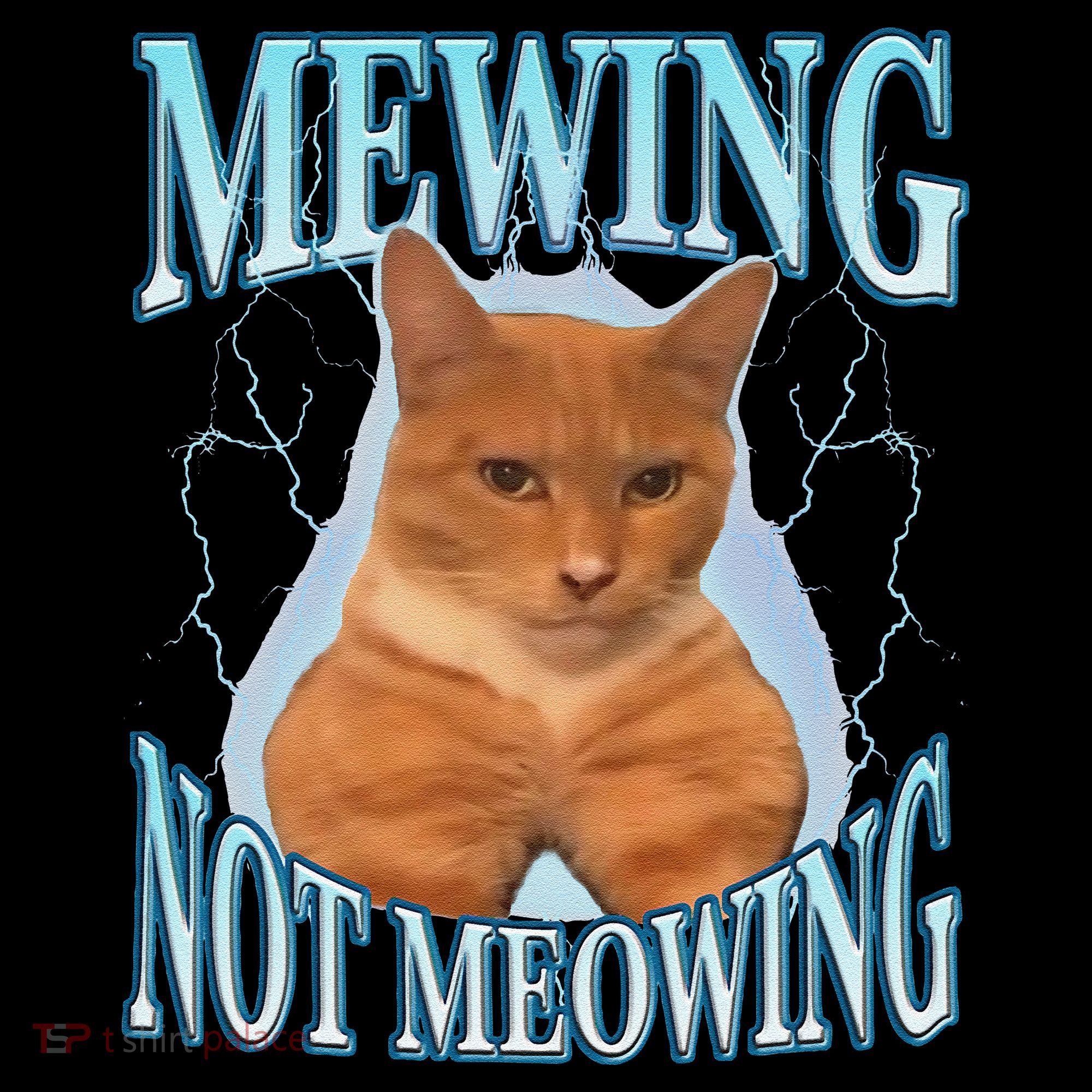 Funny Cat Meme With Meowing Looksmax Meowing Cat T-Shirt
