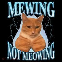 Funny Cat Meme With Meowing Looksmax Meowing Cat Coffee Mug thumb 5