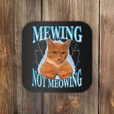 Funny Cat Meme With Meowing Looksmax Meowing Cat Coaster