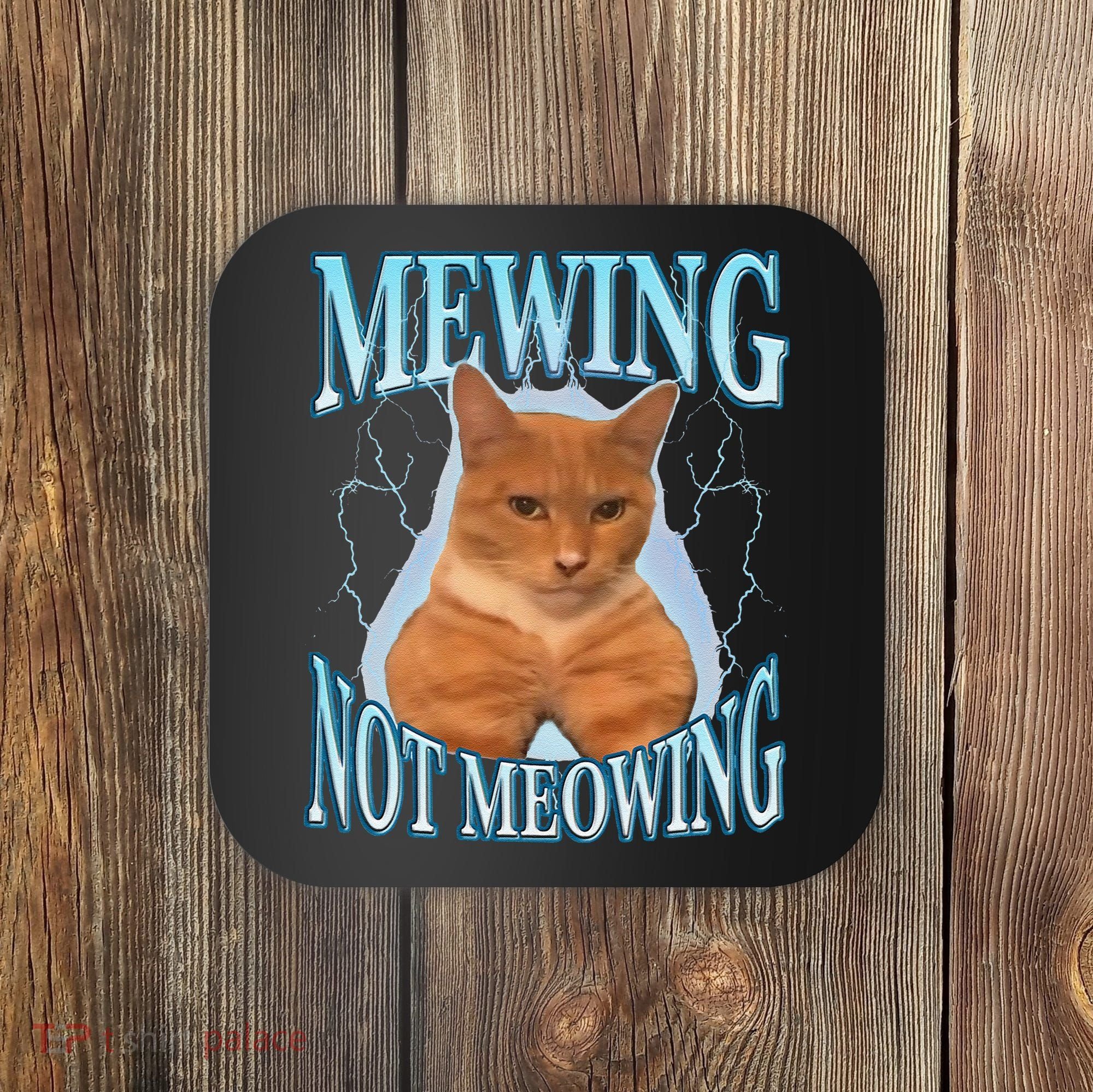 Funny Cat Meme With Meowing Looksmax Meowing Cat Coaster