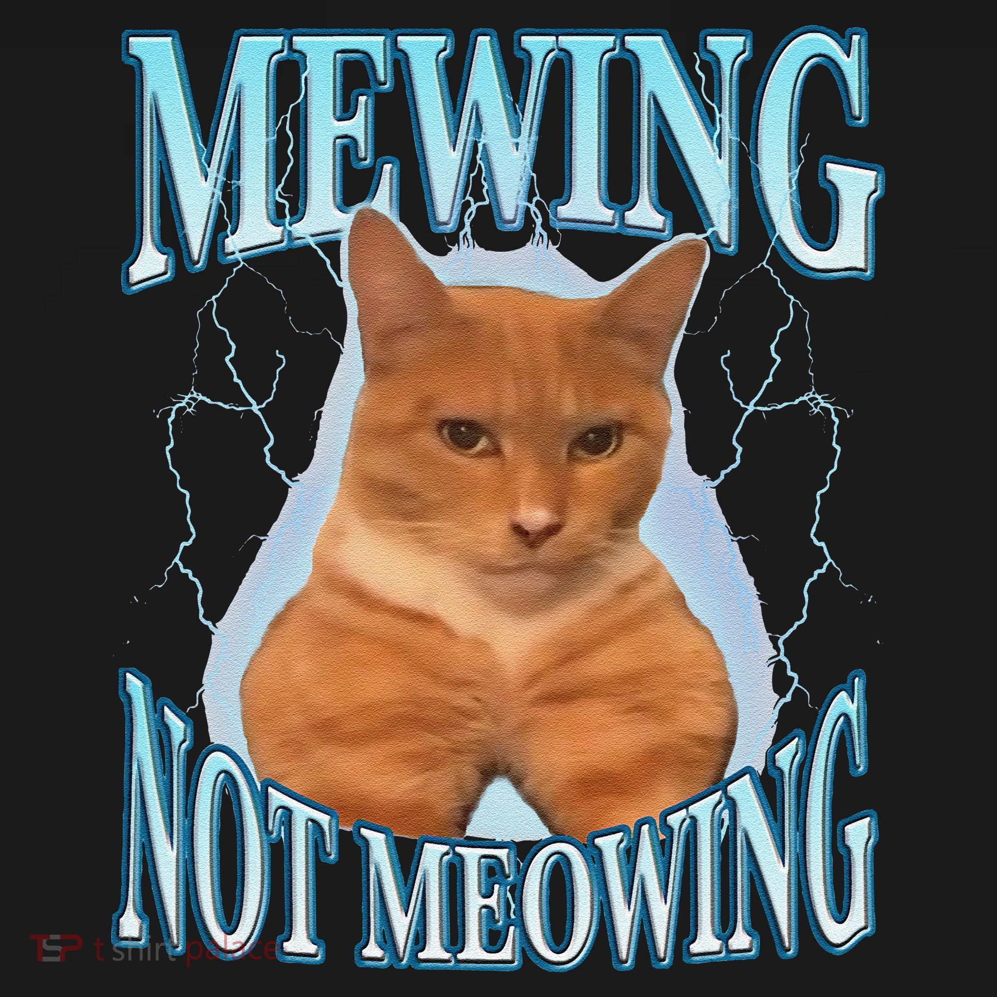 Funny Cat Meme With Meowing Looksmax Meowing Cat Women's Tank Top