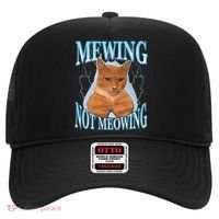 Funny Cat Meme With Meowing Looksmax Meowing Cat Hat thumb 0