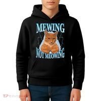 Funny Cat Meme With Meowing Looksmax Meowing Cat Kids Hoodie thumb 4