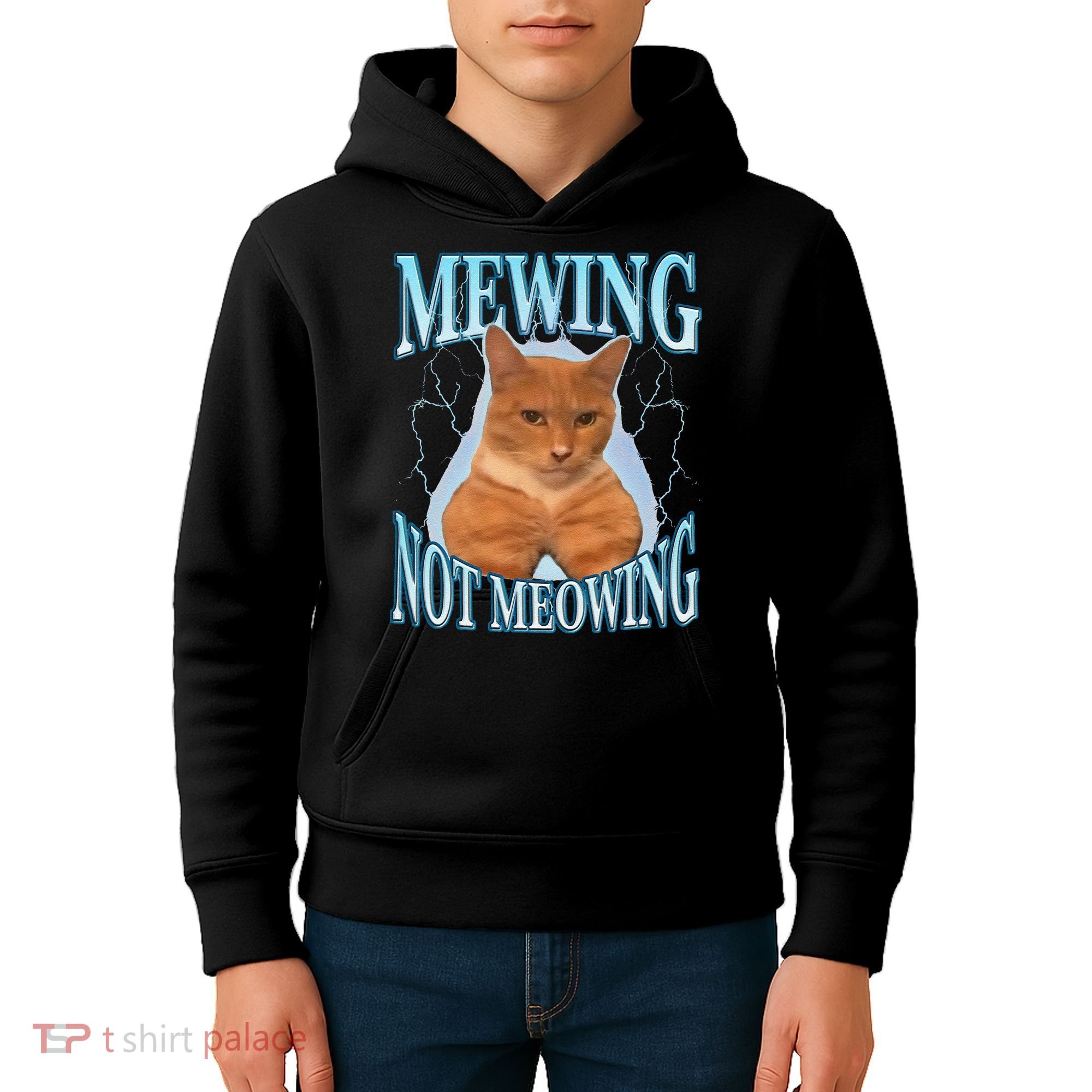 Funny Cat Meme With Meowing Looksmax Meowing Cat Kids Hoodie