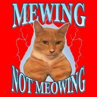 Funny Cat Meme With Meowing Looksmax Meowing Cat Santa Hat thumb 1