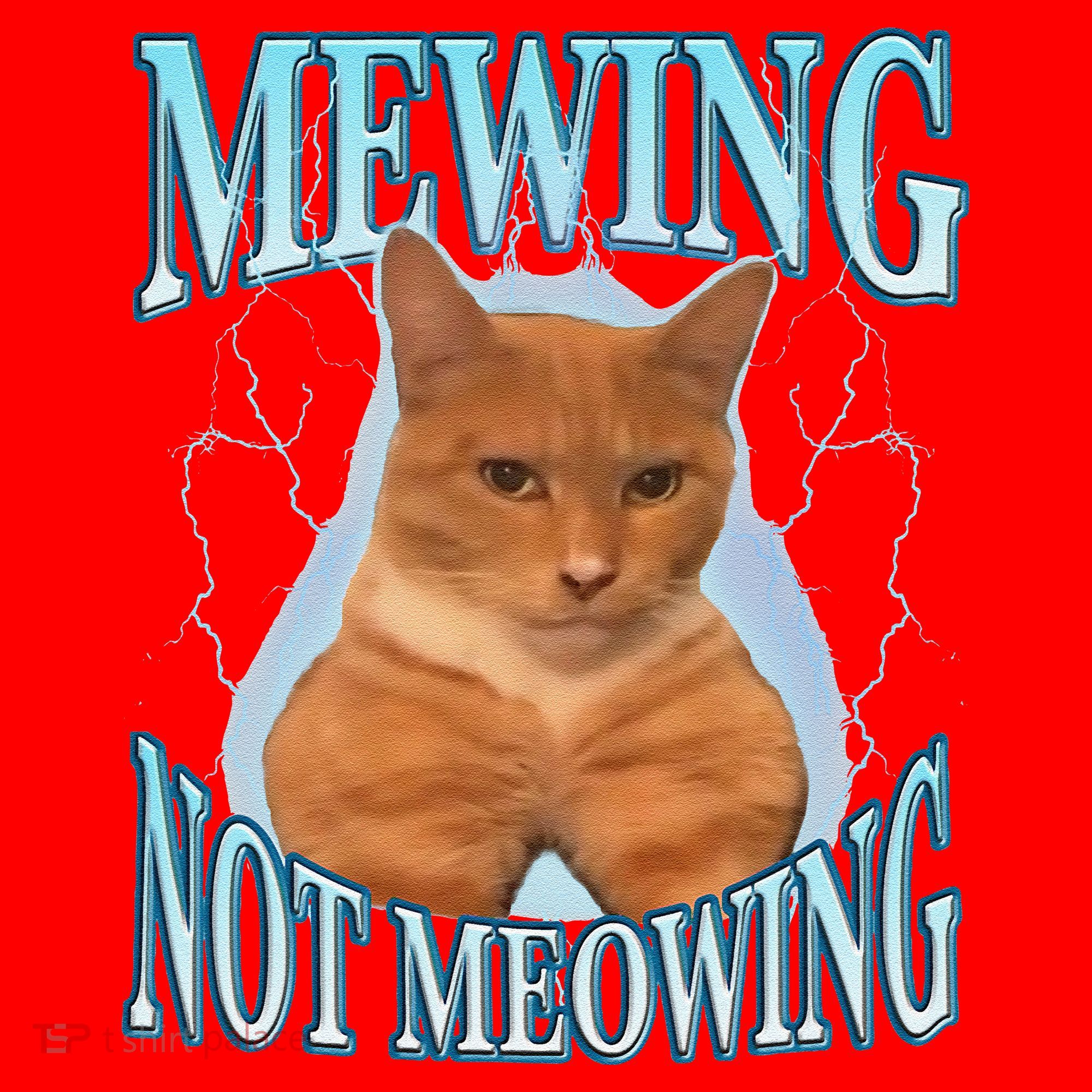 Funny Cat Meme With Meowing Looksmax Meowing Cat Santa Hat