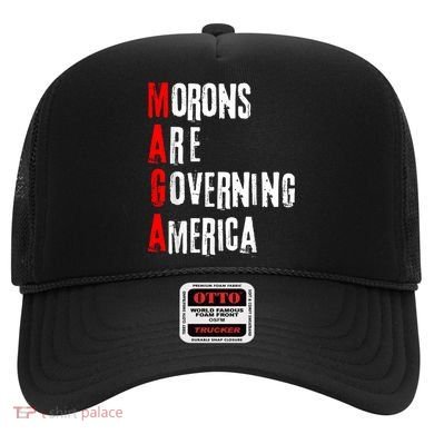 Funny Cool Morons Are Governing America Hat