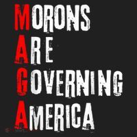 Funny Cool Morons Are Governing America Hat thumb 2