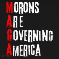 Funny Cool Morons Are Governing America Visor thumb 3
