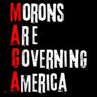 Funny Cool Morons Are Governing America Women's T-Shirt thumb 6