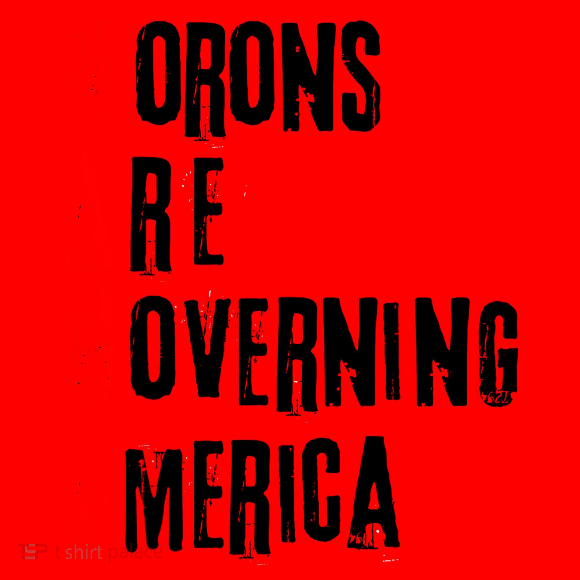 Funny Cool Morons Are Governing America Santa Hat
