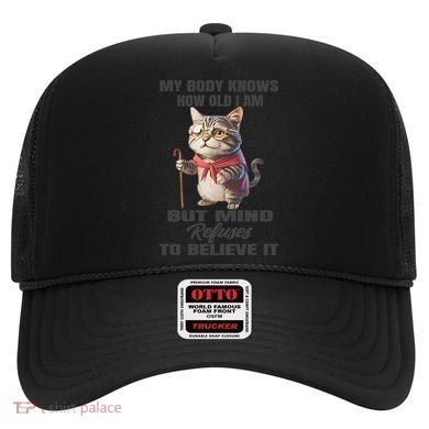 Funny Cat My Body Knows How Old I Am But Mind Refuses Hat