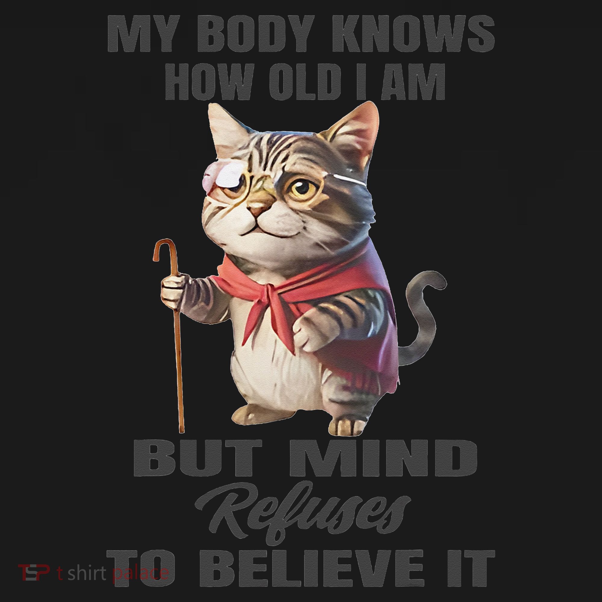 Funny Cat My Body Knows How Old I Am But Mind Refuses Visor