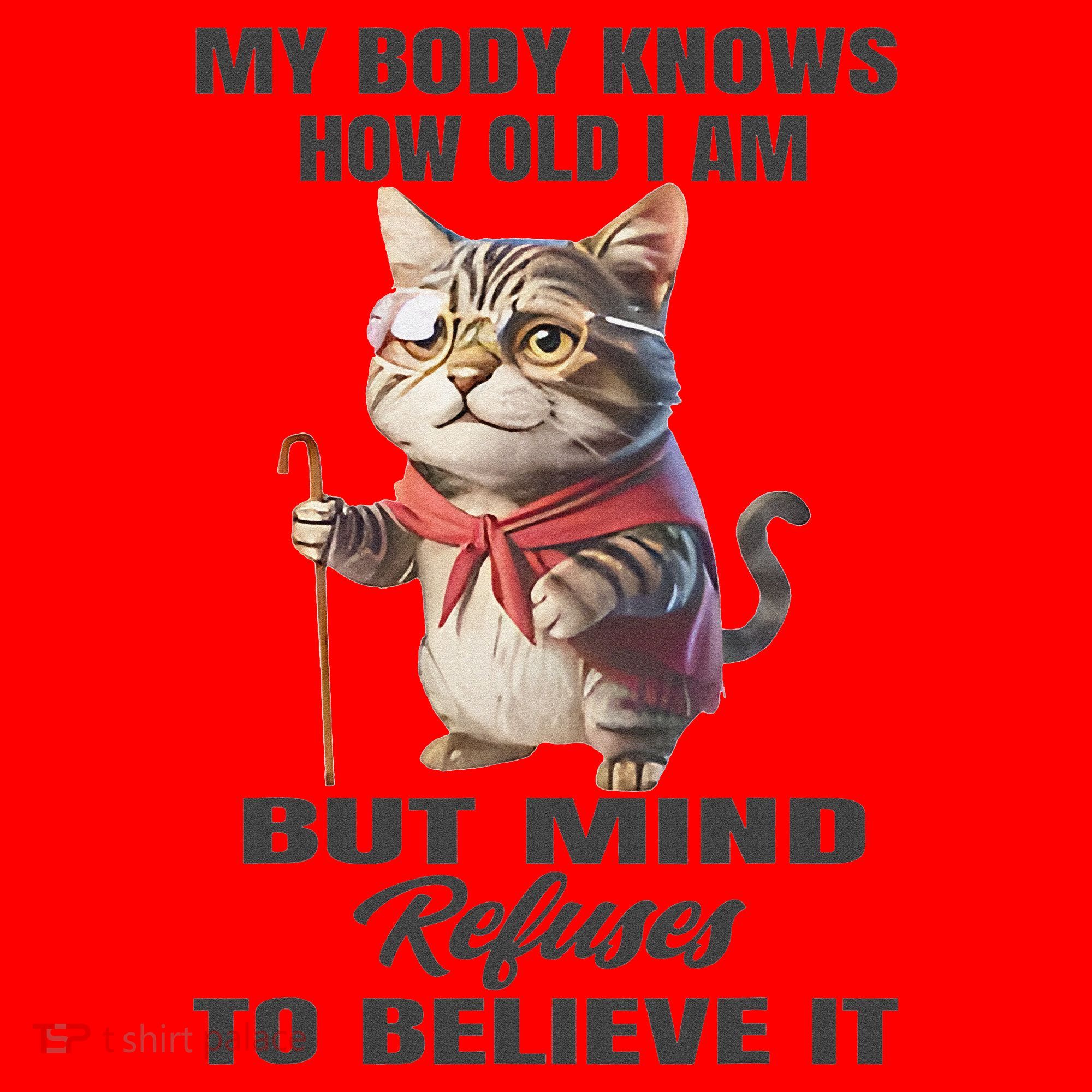 Funny Cat My Body Knows How Old I Am But Mind Refuses Santa Hat