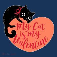 Funny Cute My Cat Is My Valentine Women's Hoodie thumb 2