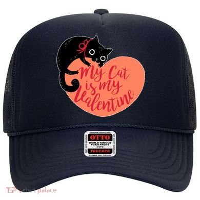 Funny Cute My Cat Is My Valentine Hat
